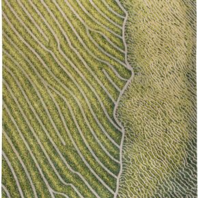 Louis de Poortere - 9133 Waves Shores Gambia Coast - 280x360 cm Vloerkleed