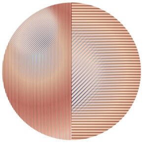 Moooi Carpets - Trichroic Dalston Round - 350 rond Vloerkleed