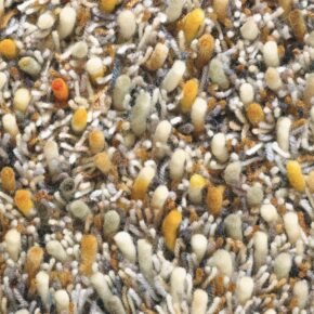 Brink en Campman - Spring 59103 - 200x300 cm Vloerkleed