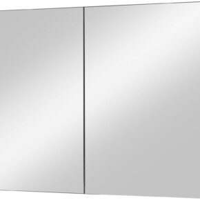 Ben Vario Spiegelkast 2 gelijke delen met spiegelmelamine omtrokken zijpanelen 100x14x75 cm