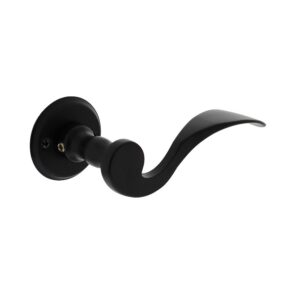 Intersteel Deurkruk Lepel op rozet mat zwart