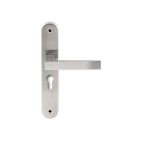 Hardbrass Deurkruk Phoenix RVS op ovaal langschild profielcilinder 55mm