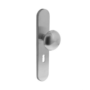 Intersteel Knop op verdekt schild sleutelgat 56mm RVS