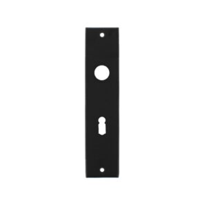 Intersteel Kortschild rechthoekig sleutelgat 56mm mat zwart