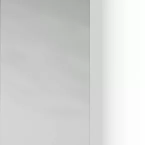 Looox M-Line spiegel 25 x 70 cm.
