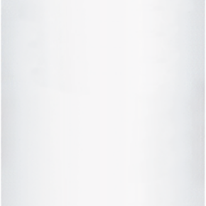 OTTO Ottoseal S117 C4098 buxy natuursteensilicone 310ml