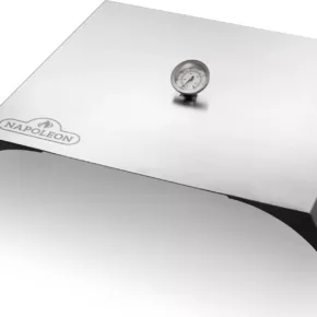 Pizza oven rvs vanaf rogue 365
