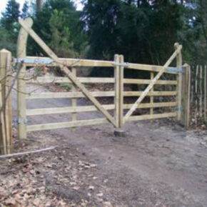 Poort 110x270cm toegangspoort grenen