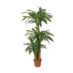 Kunstplanten Dracena 145cm