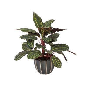 Kunstplanten Calathea Cebra 50cm