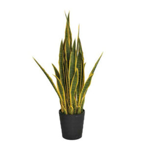 Kunstplanten Sansevieria vrouwentong 105cm bicolor
