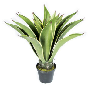 Kunstplanten Agave 98cm