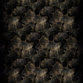 Moooi Carpets - Ginko Leaf Black - 350 rond Vloerkleed