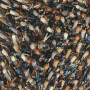 Brink en Campman - Spring 59105 - 200x300 cm Vloerkleed