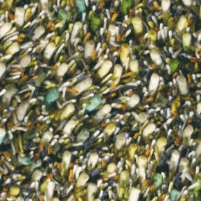 Brink en Campman - Spring 59107 - 200x300 cm Vloerkleed