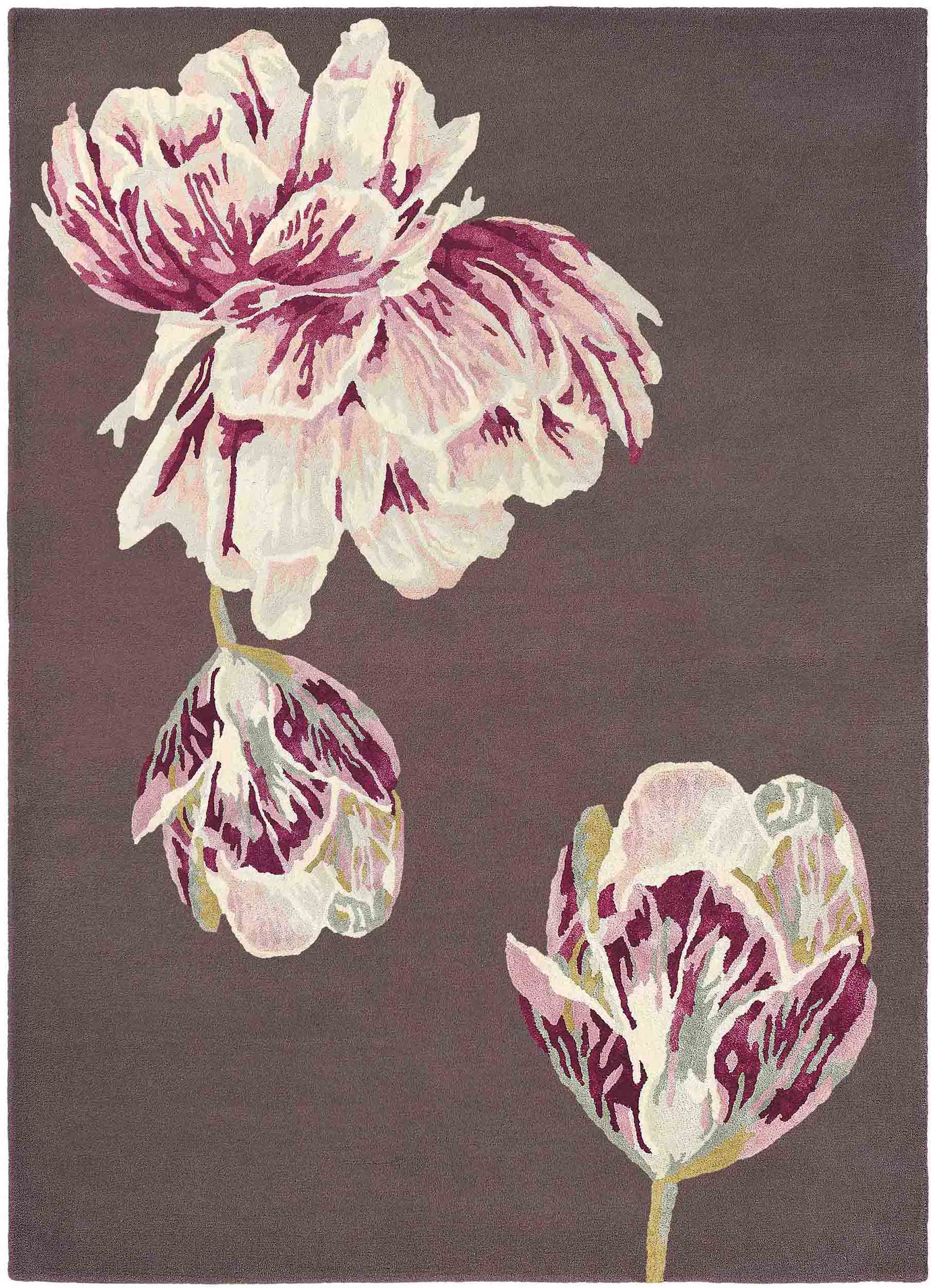 Ted Baker - Tranquility Aubergine 56005 - 250x350 cm Vloerkleed