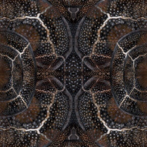 Moooi Carpets - Blooming Seadragon - 266x400 cm Vloerkleed