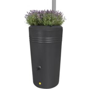 Elho Green Basics regenton 200 liter zwart met plantenbak