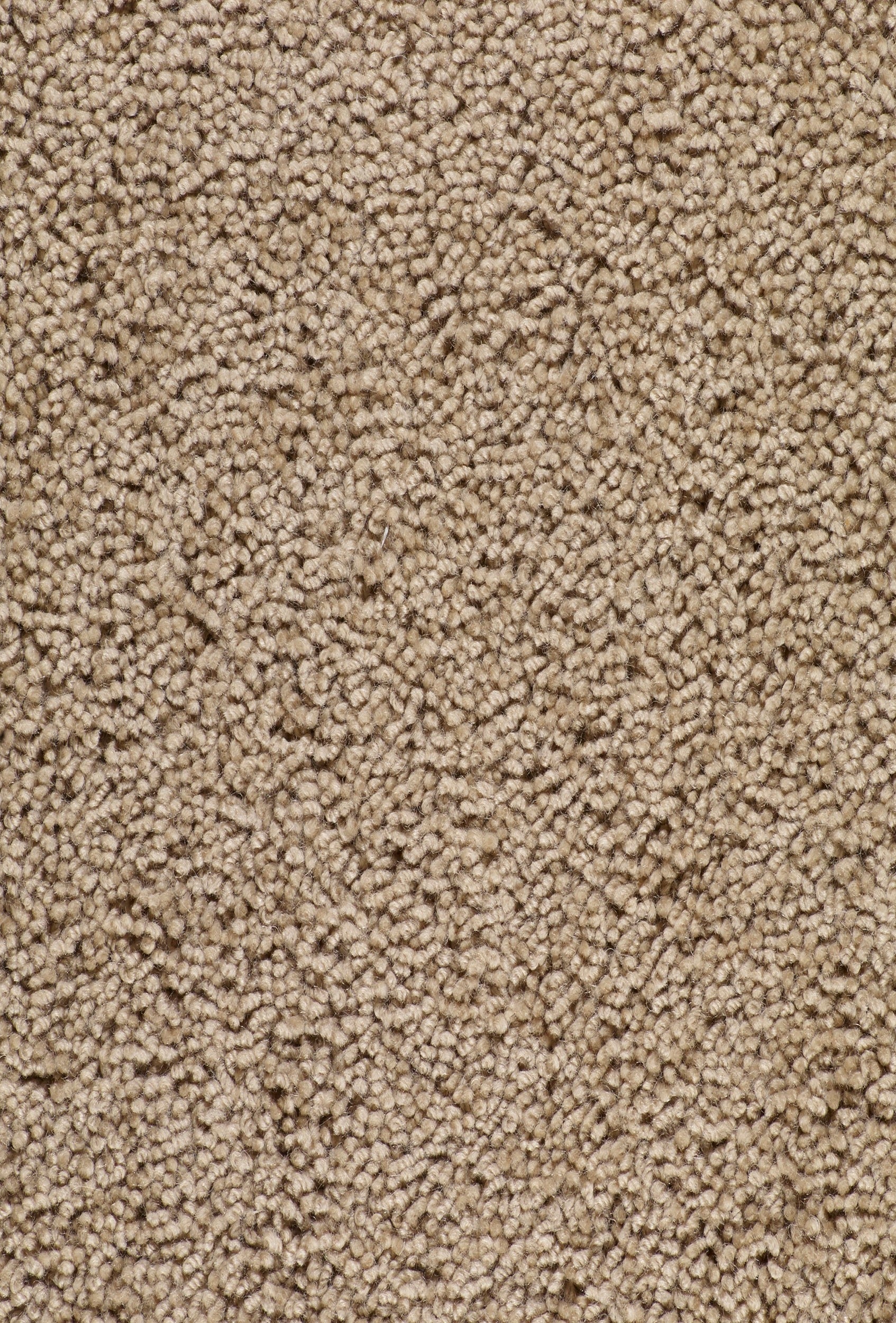 Monasch - Let's Twist Sparrow - 400x500 cm Vloerkleed