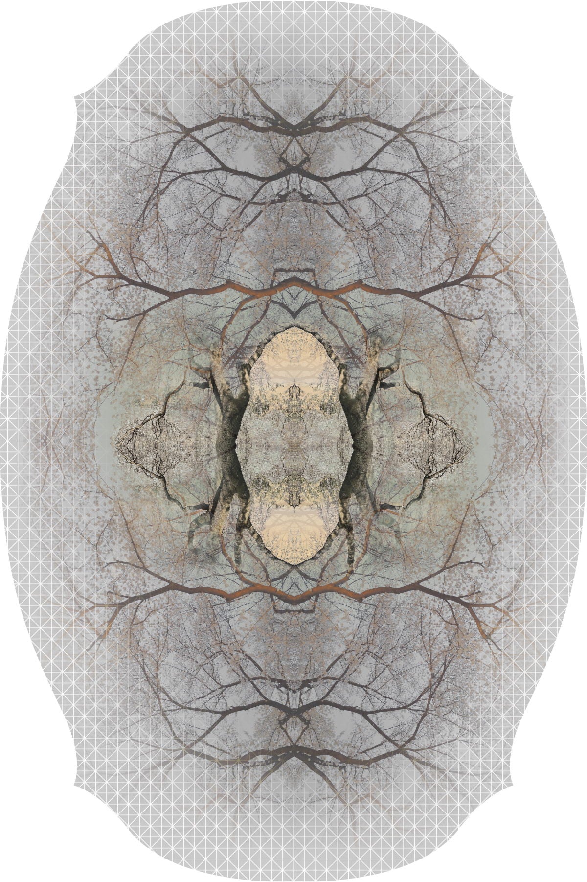 Moooi Carpets - Diamond Tree - 400x267 cm Rond Vloerkleed