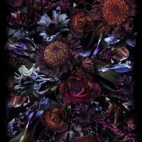 Moooi Carpets - Fool's Paradise - 350 rond Vloerkleed