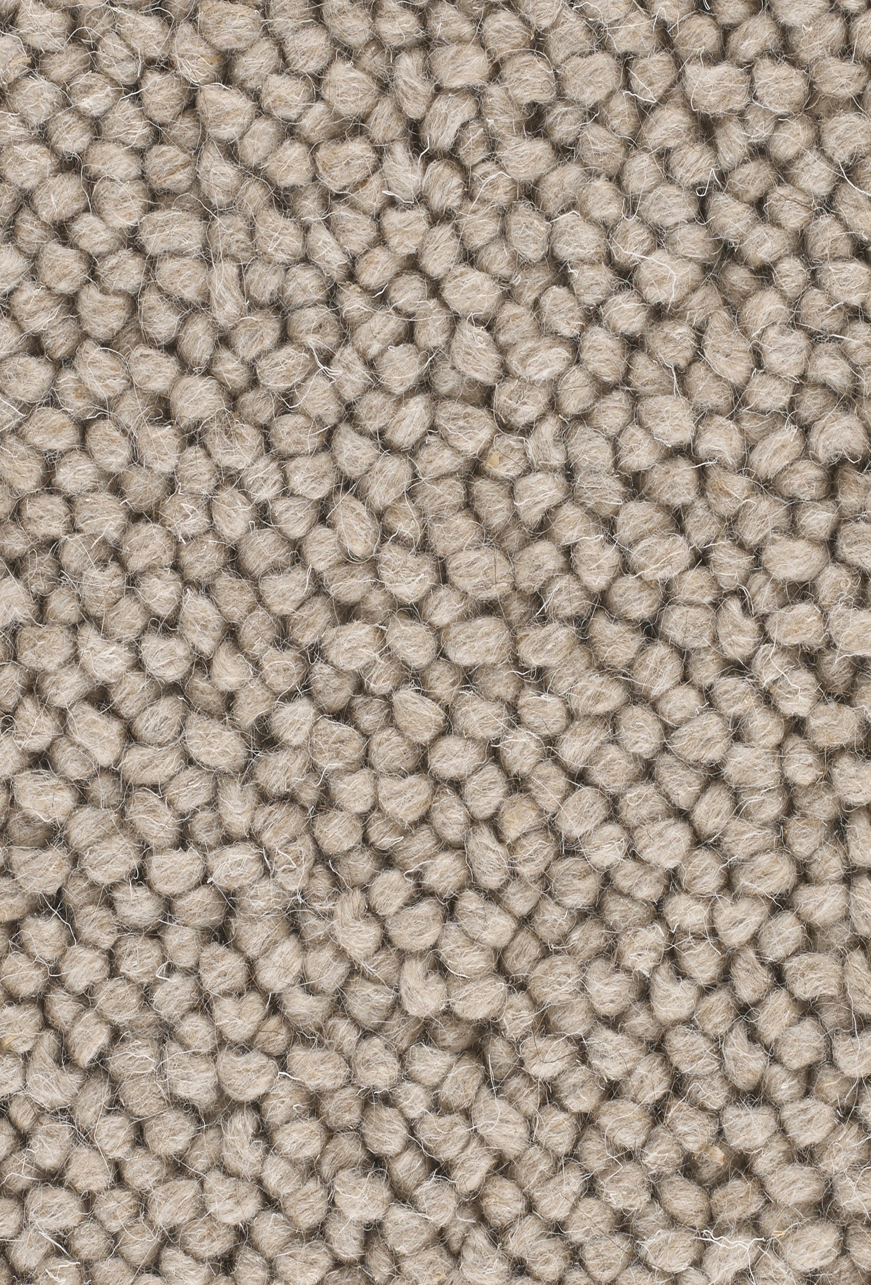 Monasch - Bad Hair Day Wheat - 400x500 cm Vloerkleed