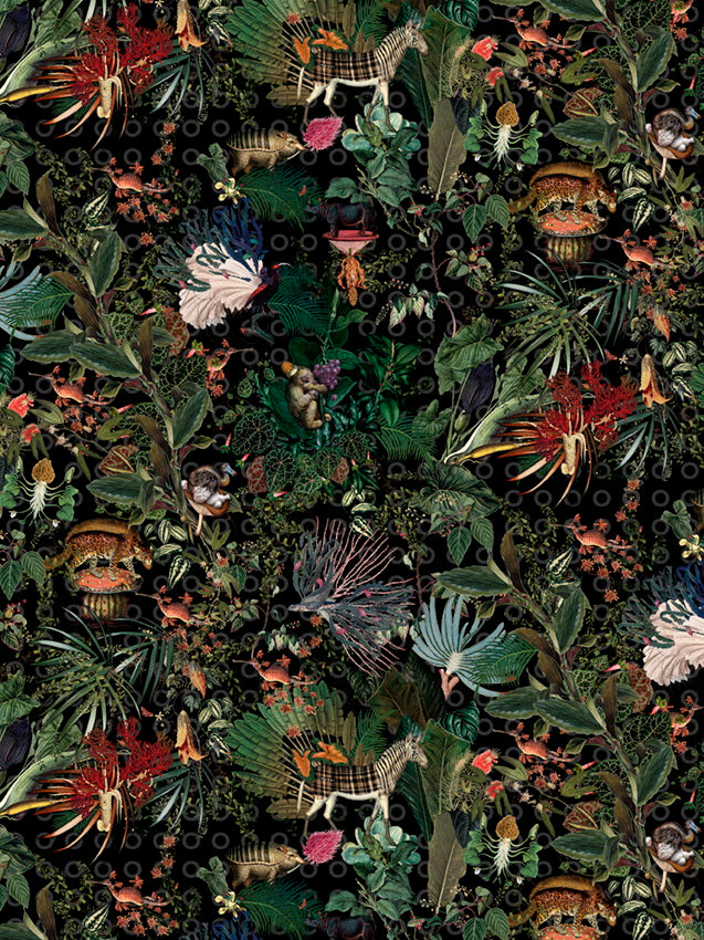 Moooi Carpets - Menegerie of Extinct Animals Raven - 350 rond Vloerkleed