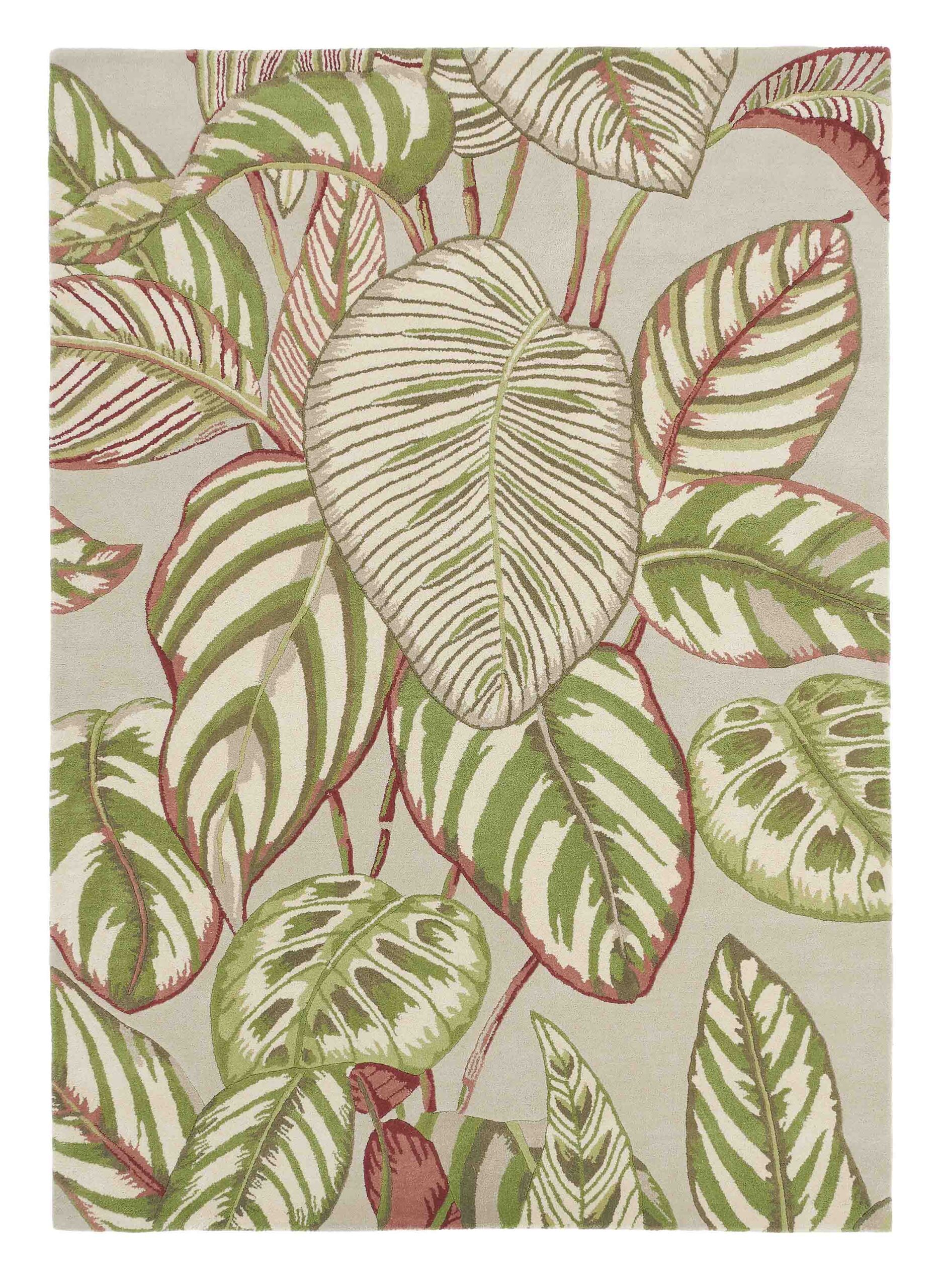 Sanderson - Calathea Olive 50807 - 250x350 cm Vloerkleed