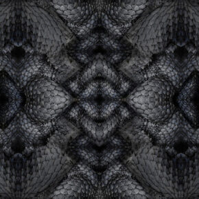 Moooi Carpets - Dwarf Rhino - 300x400 cm Vloerkleed