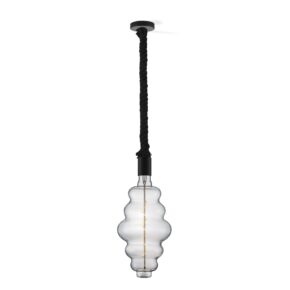 Home sweet home hanglamp Leonardo zwart Cloud - helder