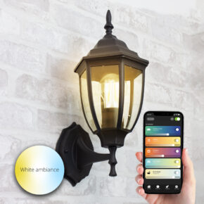 Klassieke zwarte wandlamp voor buiten met E27 Zigbee filament led lamp