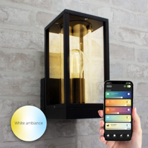 Moderne zwarte wandlamp voor buiten - Glazen design - Met E27 Zigbee filament led lamp