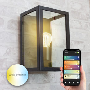 Moderne zwarte wandlamp voor buiten met E27 Zigbee filament led lamp